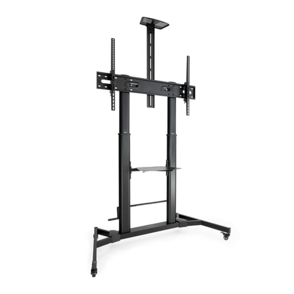 TooQ ZEUS 2,54 m (100