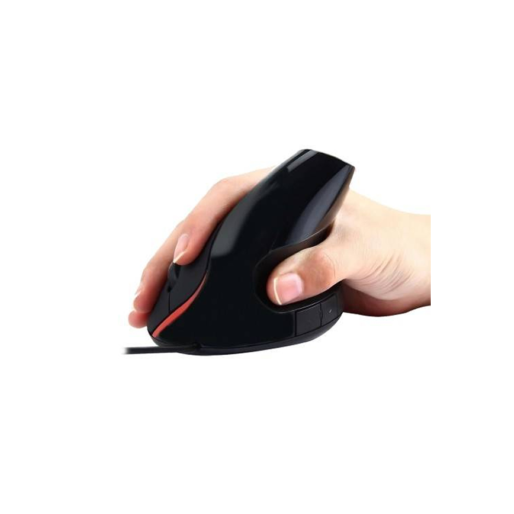 Rato Ergonómico Ewent Com Fios 
