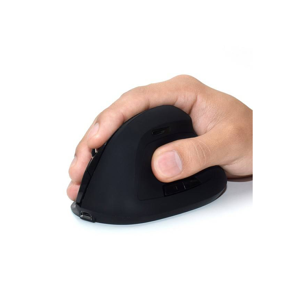 Rato Ergonómico Ewent Wireless